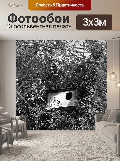 Фотообои гнездование
