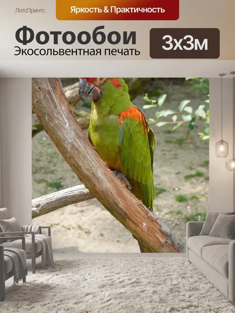 Фотообои Птица