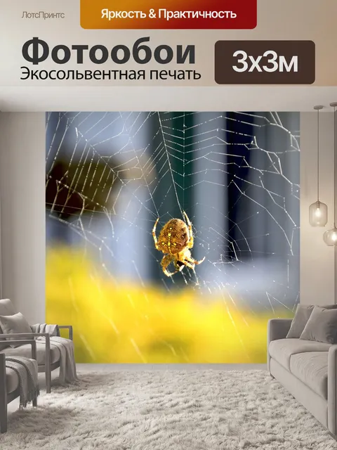 Фотообои Паук