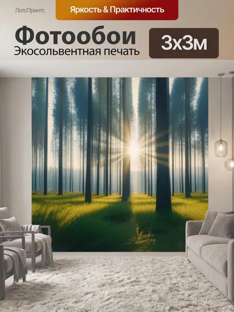 Фотообои сосновый бор и солнечные лучи