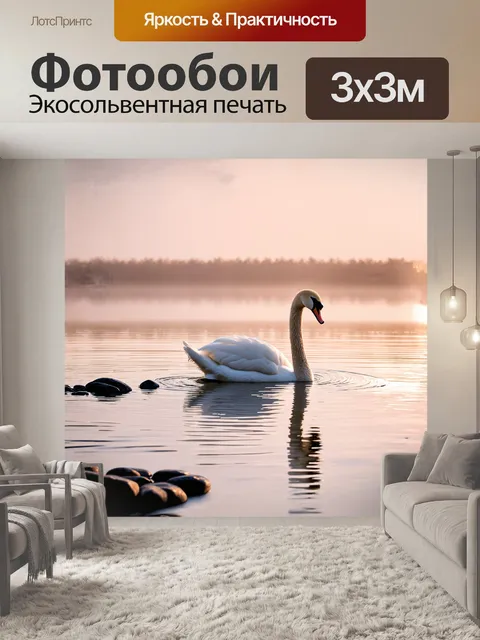Фотообои лебедь majestically скользит по спокойной поверхности воды в нежном утреннем свете