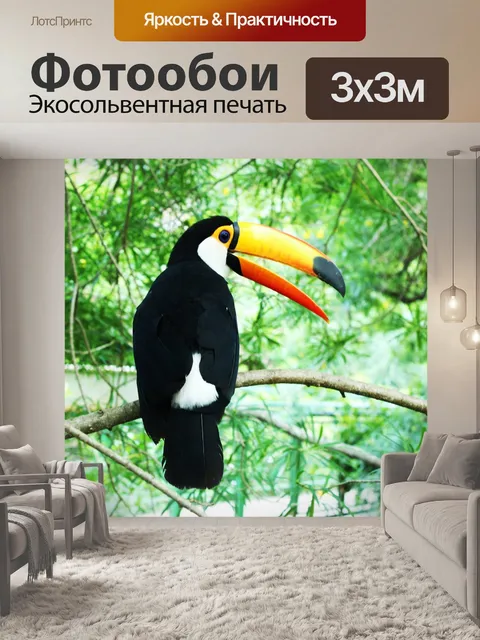 Фотообои Птица