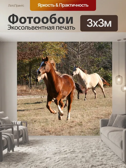 Фотообои Лошади