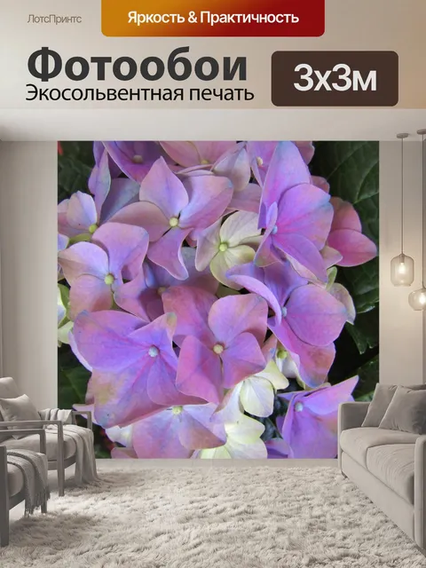 Фотообои Гортензия