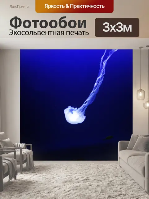 Фотообои белые медузы