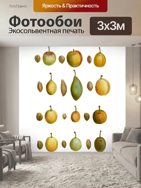 Фотообои Сливы марочные