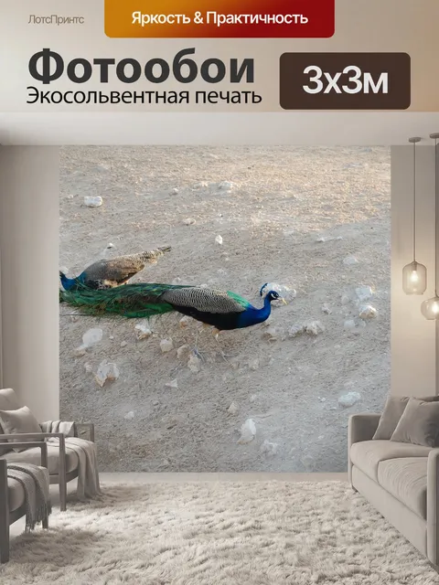 Фотообои Птица