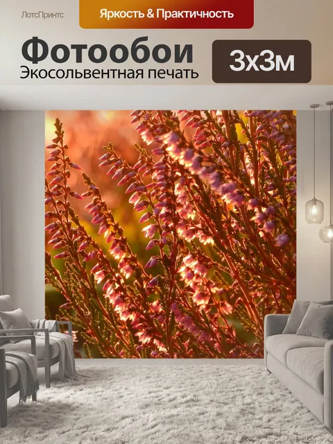 Фотообои Вереск