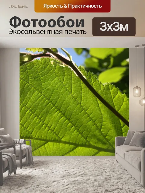 Фотообои Зеленый лист