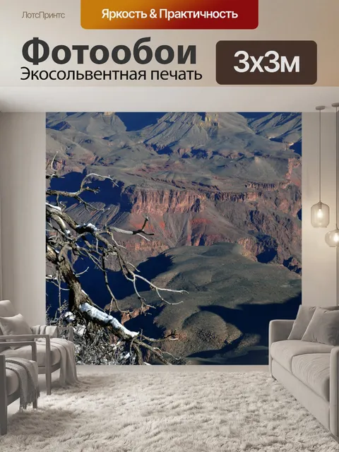 Фотообои Голые ветви и Гранд-Каньон