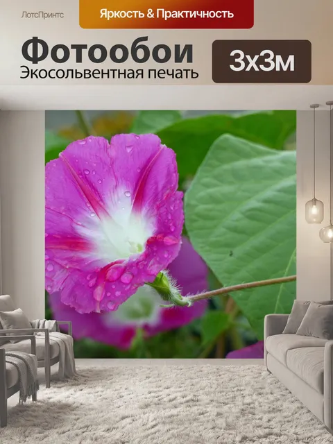 Фотообои Цветок