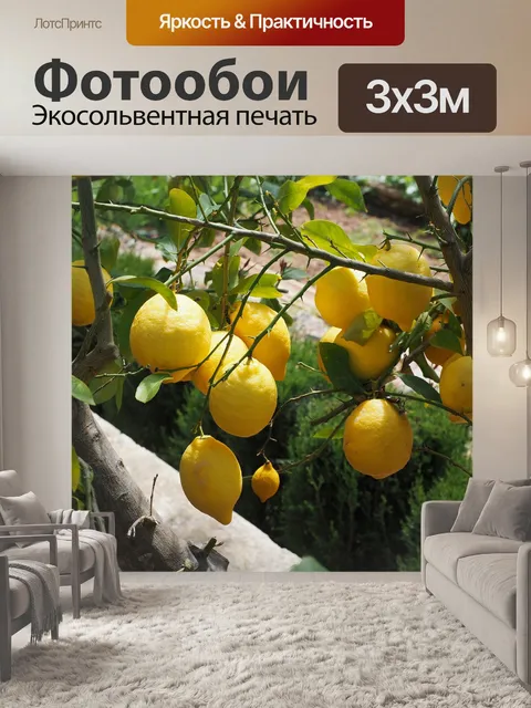 Фотообои Лимон