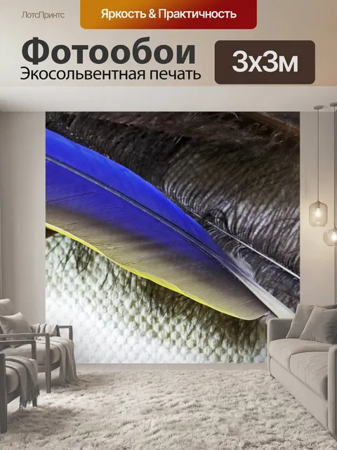 Фотообои блестящее синее перо попугая