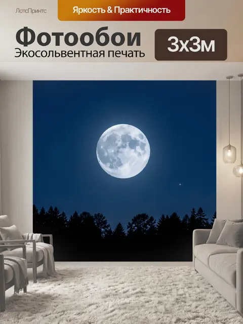 Фотообои Полнолуние над лесом ночью