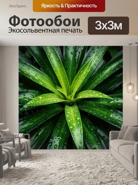 Фотообои Зеленые листья с каплями росы