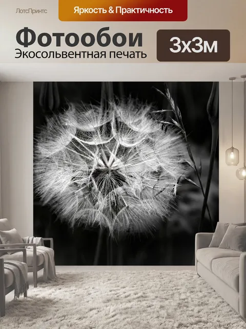 Фотообои одуванчик