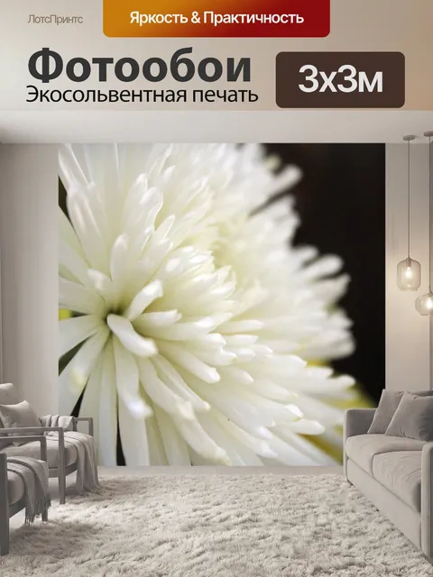 Фотообои белые георгины 2