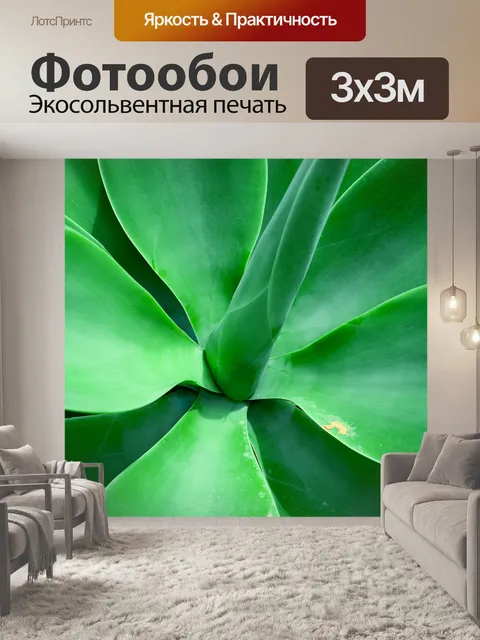 Фотообои зеленая агава