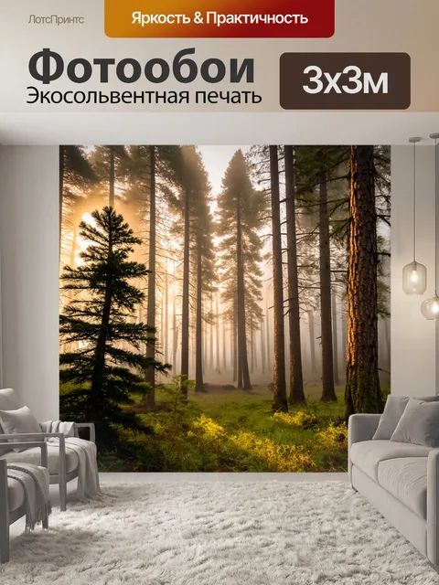 Фотообои утро в сосновом лесу, туман, свет солнца, свежий воздух