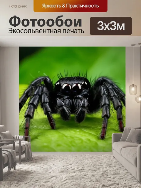Фотообои черный паук, милое создание, мохнатые лапы