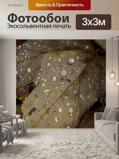 Фотообои Осенние листья и капли дождя