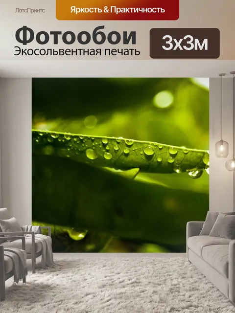 Фотообои Зеленый