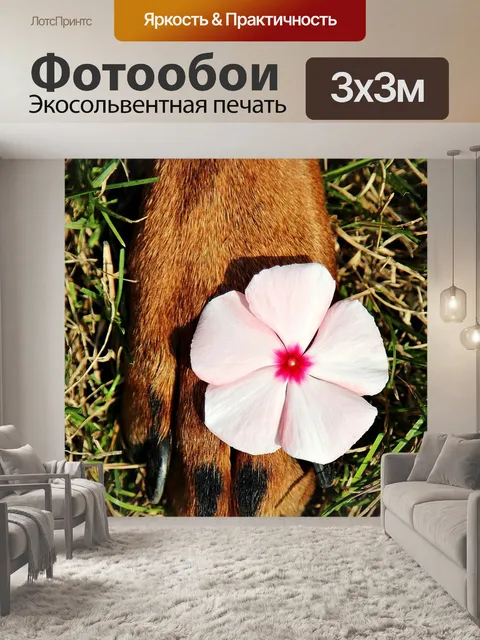 Фотообои Лапа