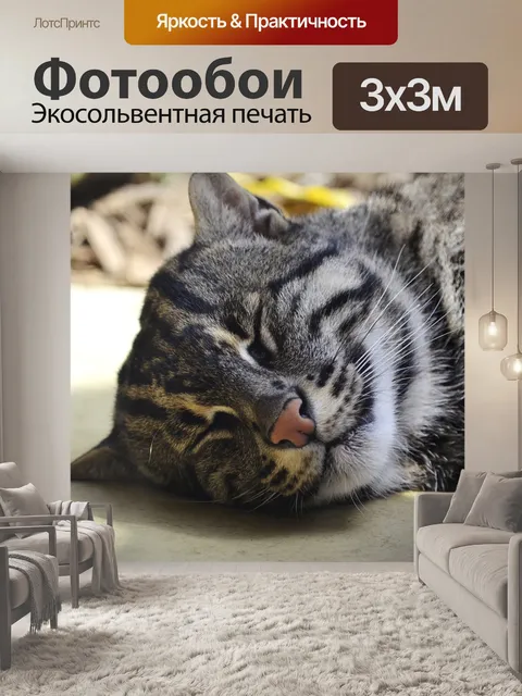 Фотообои Рыбацкая кошка