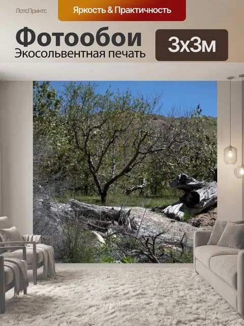 Фотообои Пустынный пейзаж