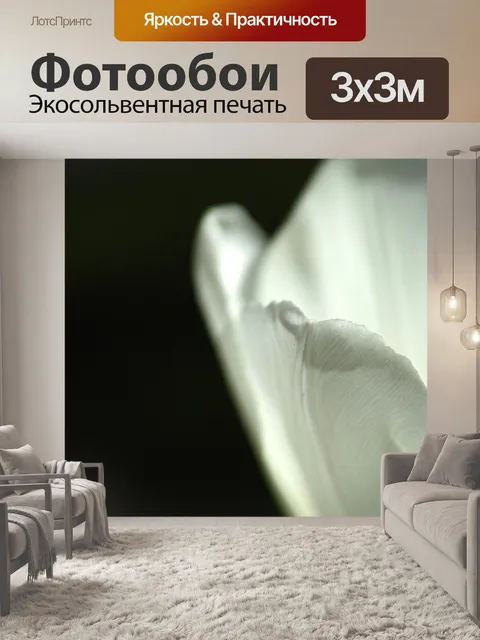 Фотообои Белый