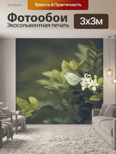 Фотообои Белая бабочка