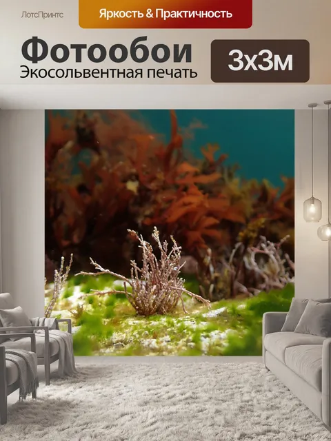 Фотообои Водоросли