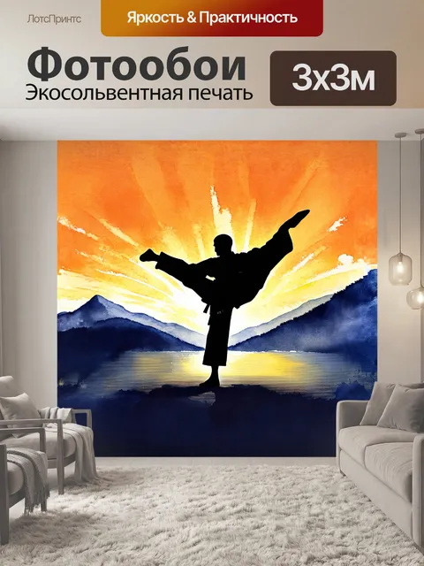 Фотообои на переднем плане — силуэт мастера каратэ