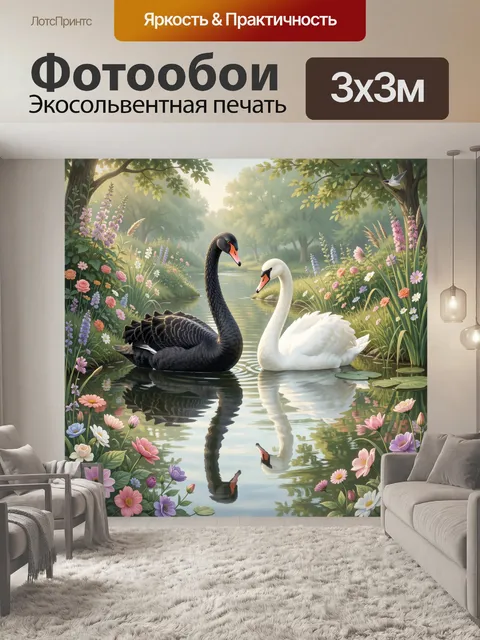 Фотообои Чёрный и белый лебеди