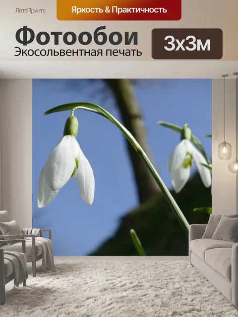 Фотообои Подснежник
