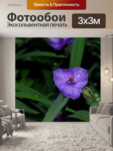 Фотообои Фиолетовый цветок