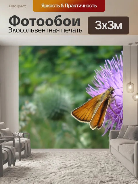 Фотообои Бабочка