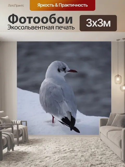 Фотообои Птица