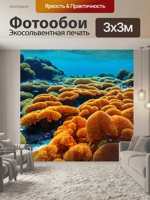 Фотообои оранжевый цвет: оранжевый подводный мир коралловых рифов