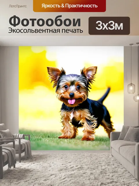 Фотообои на фоне светлого, размытого летнего пейзажа, маленькая собачка породы той терьер, с густой шерстью, тянет…