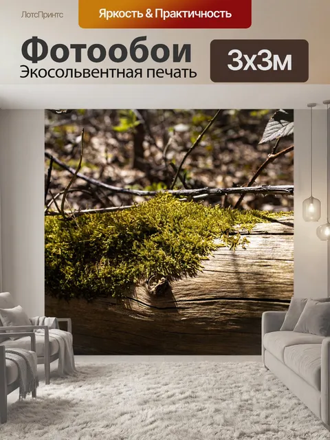 Фотообои Древесина