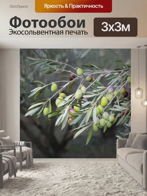 Фотообои Оливковый