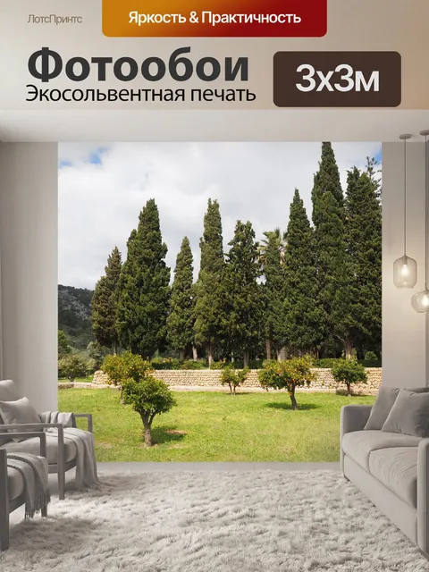 Фотообои Апельсиновое дерево