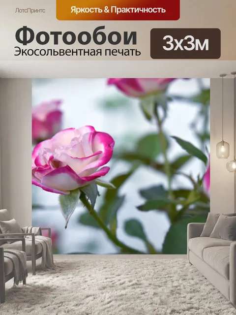 Фотообои Роза 14