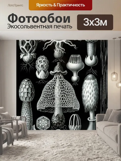 Фотообои Коробка с грибами