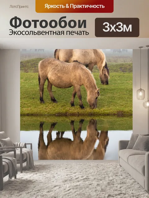 Фотообои Лошади