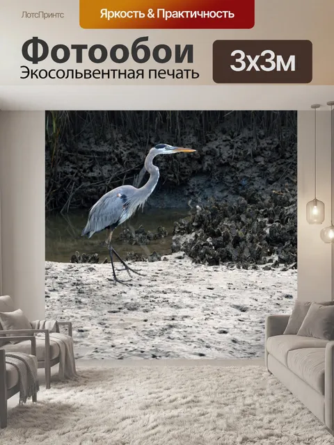 Фотообои Great Blue Heron