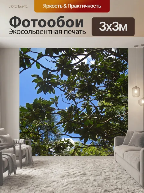 Фотообои магнолия с гроздьями листьев