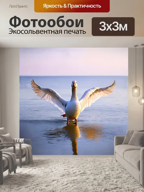 Фотообои белый гусь, гордо расправивший свои широкие крылья, плывет по спокойной поверхности пруда