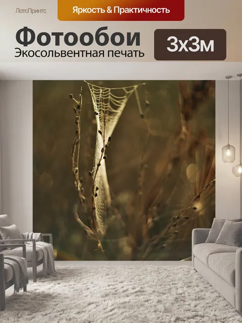 Фотообои Сеть